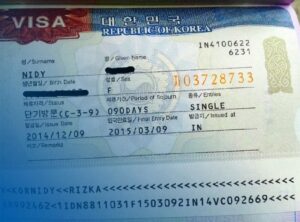 Stay Visa Korea